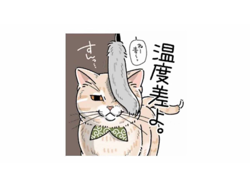 「すんっ…」遊びたい飼い主を華麗にスルーする猫の反応【猫がおしりを向けてきます #６】