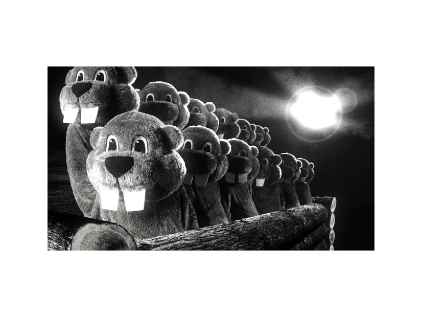 『FEVER ビーバー！』© 2022 SABLJAK RAVENWOOD HOGERTON