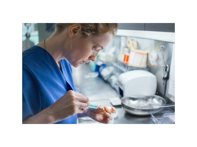 『ナースコール』© 2025 Zodiac Pictures Ltd / MMC Zodiac GmbH