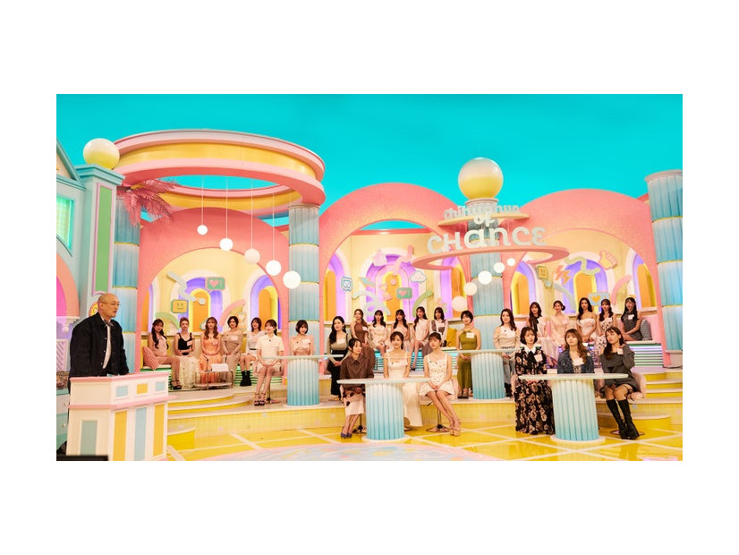 「チャンスのチワワ」（提供写真）