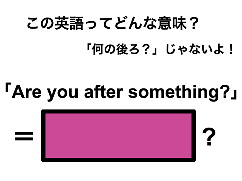 この英語ってどんな意味？「Are you after something?」