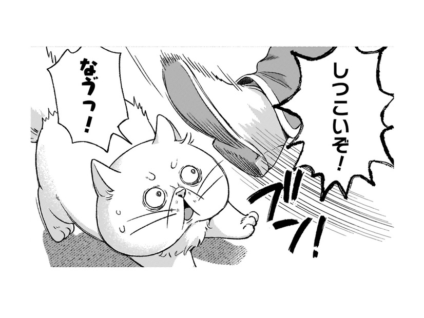 「ぶっさいくな猫だなぁ」神殿に入りたいのに、門番に冷たく追い払われる！【根暗騎士による溺愛満喫中のブサ猫、実は聖女です！#20】