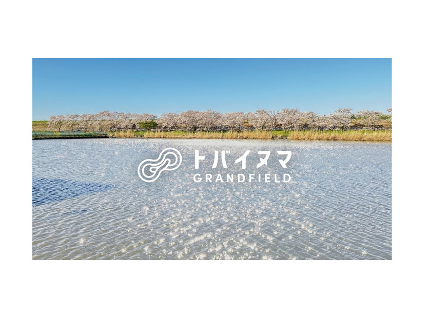 埼玉にアウトドア施設「トバイヌマGRAND FIELD」春は桜並木に囲まれ、キャンプやサウナ付グランピング