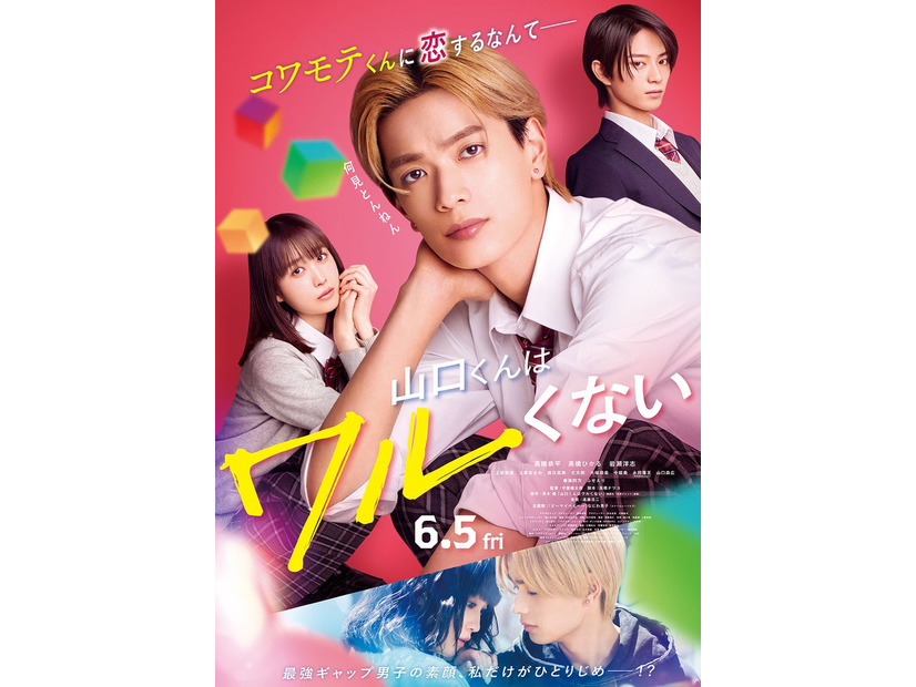 高橋ひかる、高橋恭平、岩瀬洋志「山口くんはワルくない」メインビジュアル（C）2026「山口くんはワルくない」製作委員会