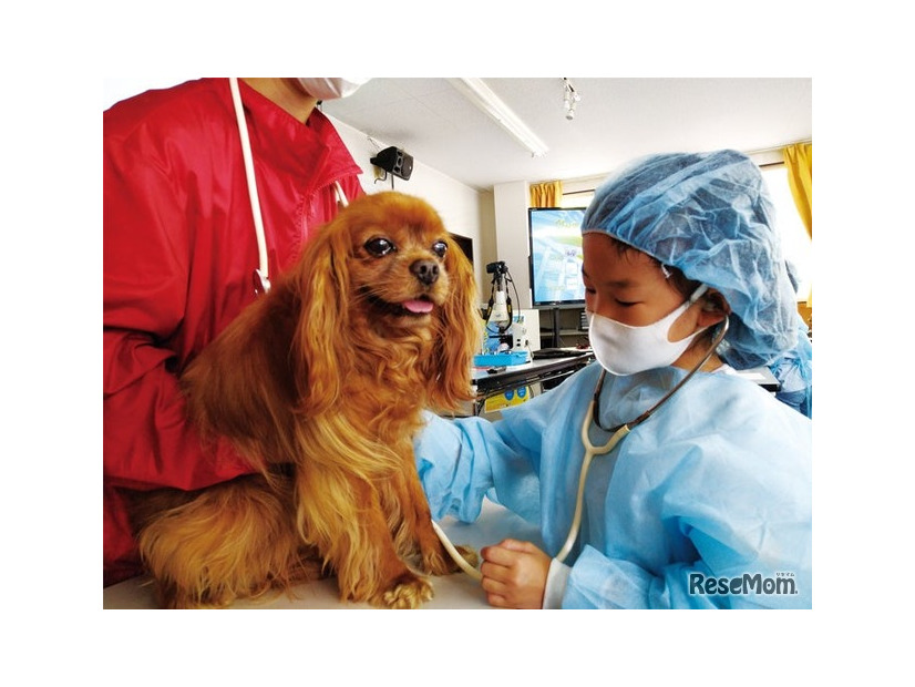 獣医さん体験スクール