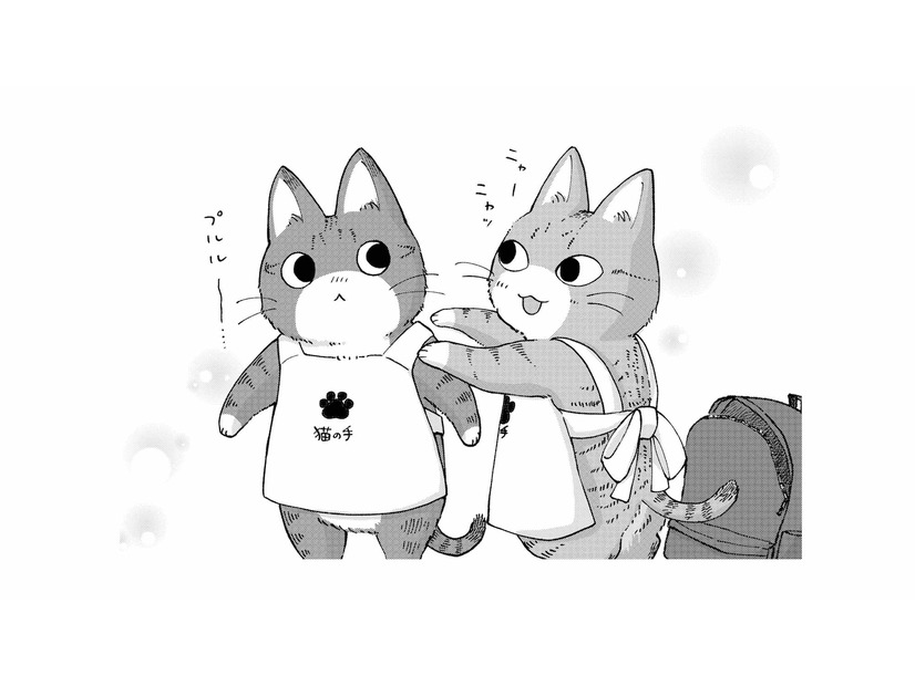 「何これ!?」玄関を開けるとエプロン姿の猫が…！今日お願いした家事代行のお手伝いさん？【家政婦よんだら猫がきた #３】