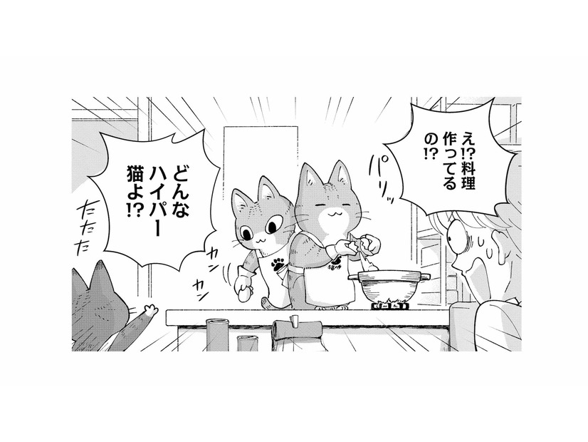 「料理を作るってどんなハイパー猫!?」出てきたのは熱々の味噌煮込みうどん…！【家政婦よんだら猫がきた #４】