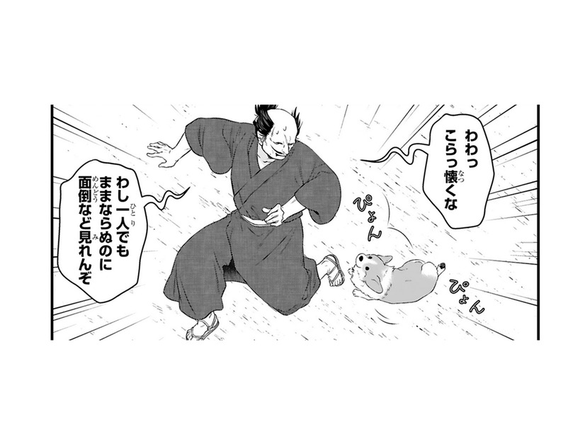 川に落ちたのを助けた犬…拾うつもりなどなかったのに、つい情が湧いてしまった【殿と犬 #４】