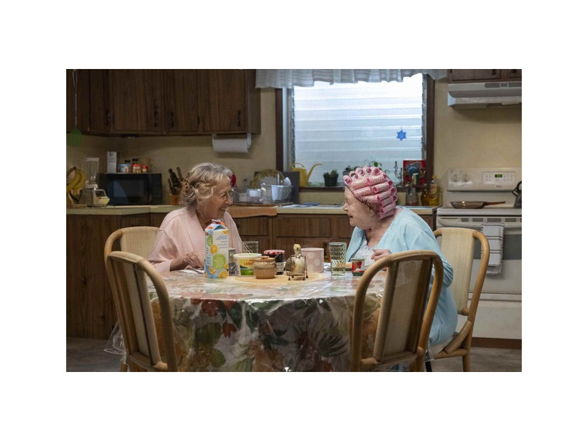 『エレノアってグレイト。』© 2025 ELEANOR INVISIBLE FILM, LLC AND TRISTAR PRODUCTIONS, INC. ALL RIGHTS RESERVED.