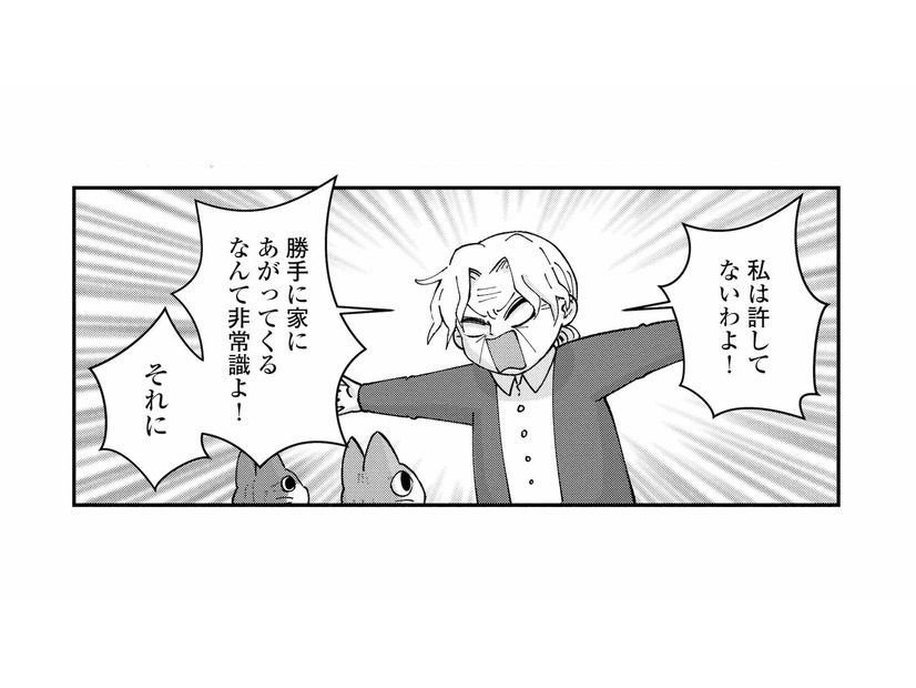 息子が頼んだ家政婦が来た！どう見ても猫…勝手に家に上がるなんて非常識！【家政婦よんだら猫がきた #11】