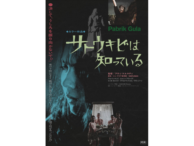 『サトウキビは知っている』© 2025 MD Pictures