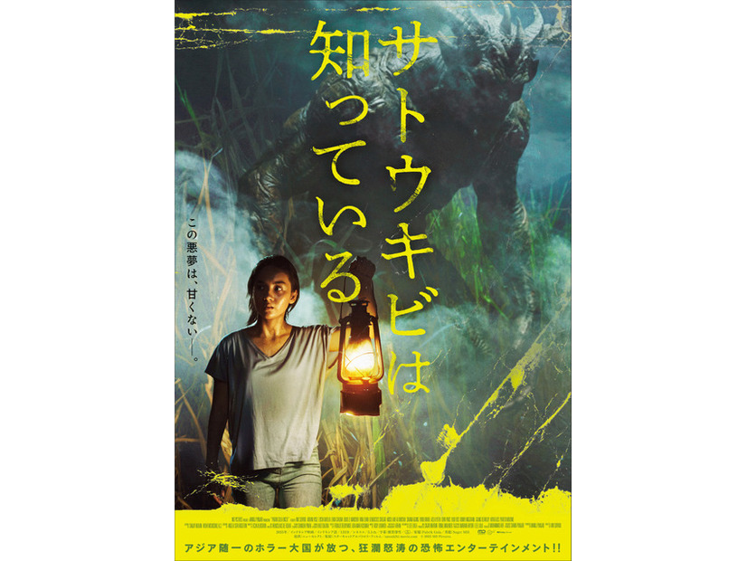 『サトウキビは知っている』© 2025 MD Pictures