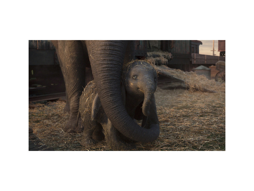 『ダンボ』© 2018 Disney Enterprises, Inc. All Rights Reserved.