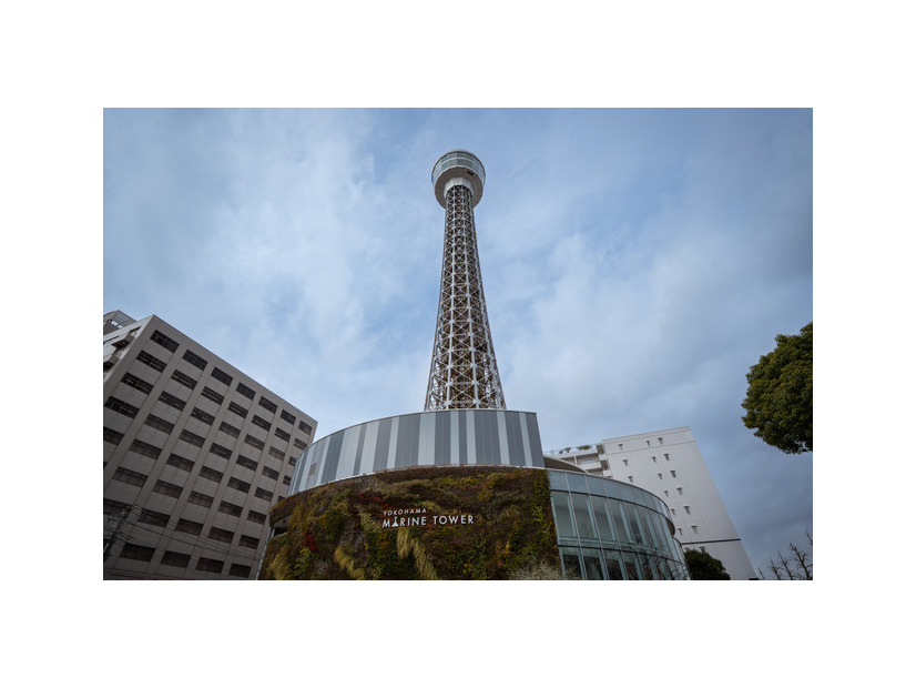 『ラプソディ・ラプソディ』©2026 利重 剛