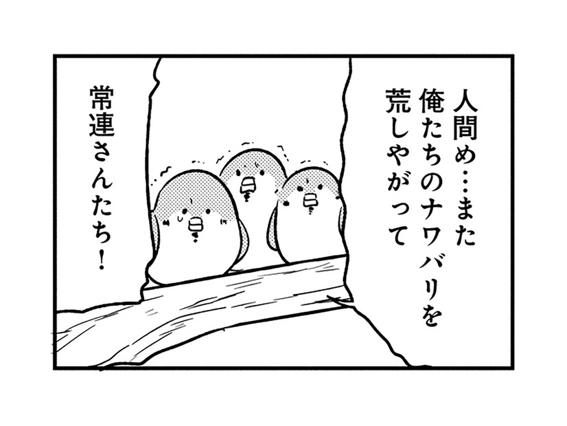 「縄張りを荒らしたな」掃除が気に入らない常連スズメたちが、店の中で大暴れ！【とりきっさ！ #10】