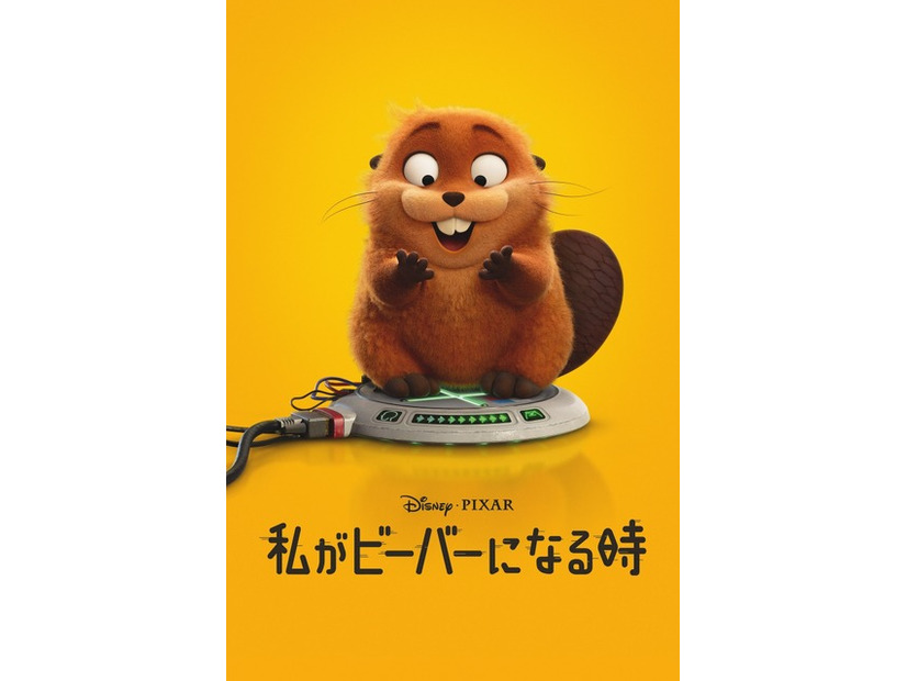 『私がビーバーになる時』© 2026 Disney / Pixer