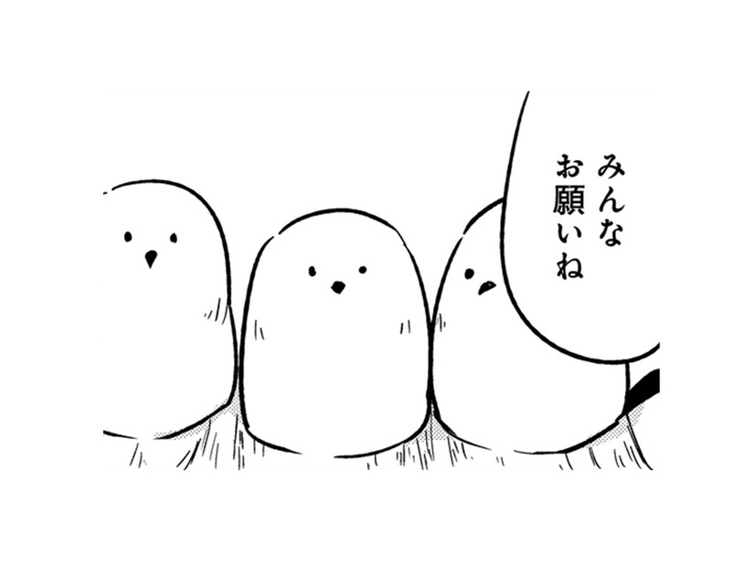 「これくらい、すぐ直せる」一見、可愛いトリビトは、とんでもないポテンシャルの持ち主だった！【とりきっさ！ #22】