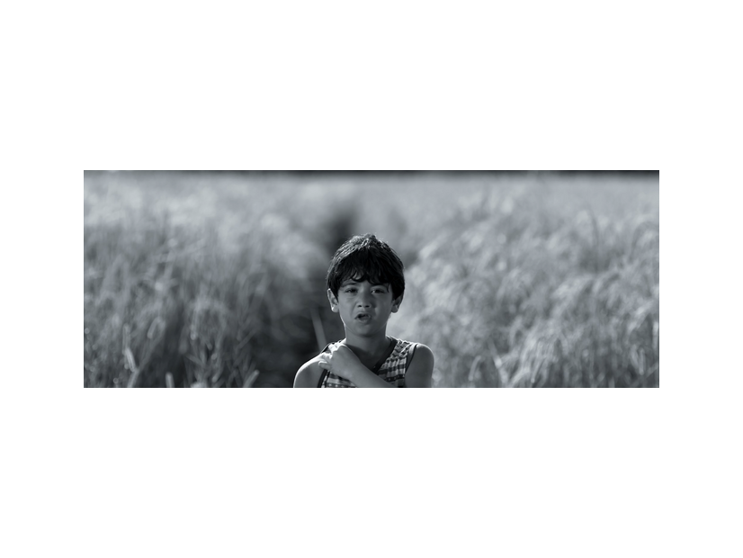 『綿毛の少女』（Dandelions Girl、2025年、19分43秒）
