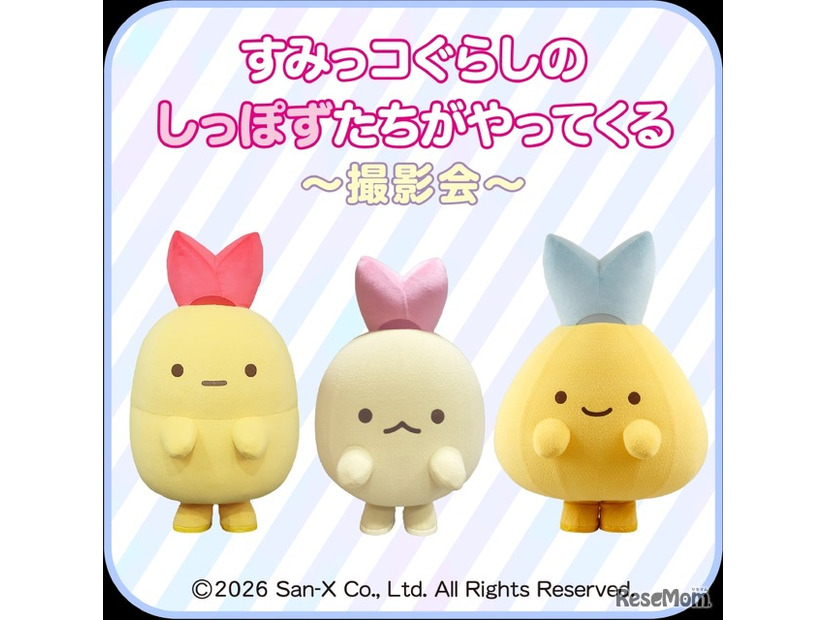 すみっこぐらしのしっぽずたちがやってくる～撮影会～