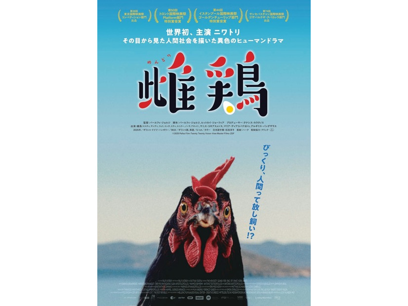 『雌鶏』©2025 Pallas Film-Twenty Twenty Vision-View Master Films-ZDF