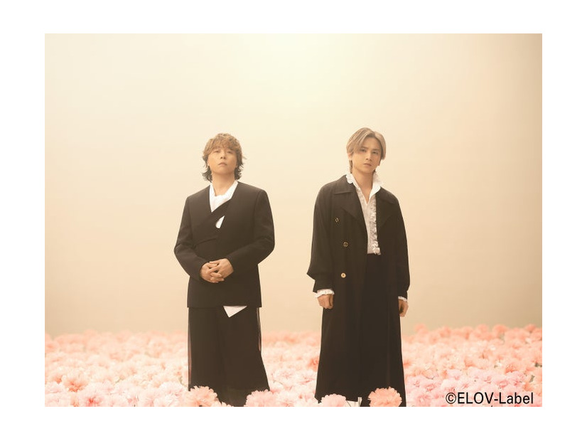 DOMOTO（C）ELOV-Label