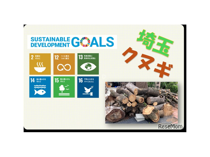 SDGsパネル展示