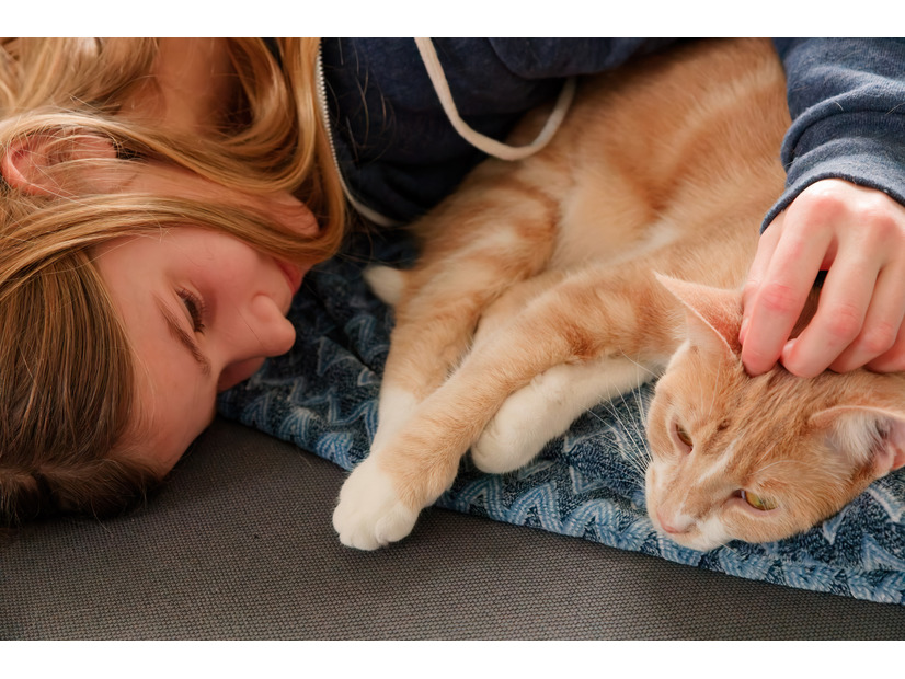 亡き父が大切にしていた猫を「保健所に連れていけ」と言い放った夫…それでも妻が離婚できなかった理由とは