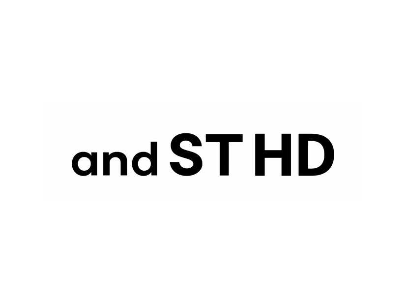 アンドエスティHDグループロゴ