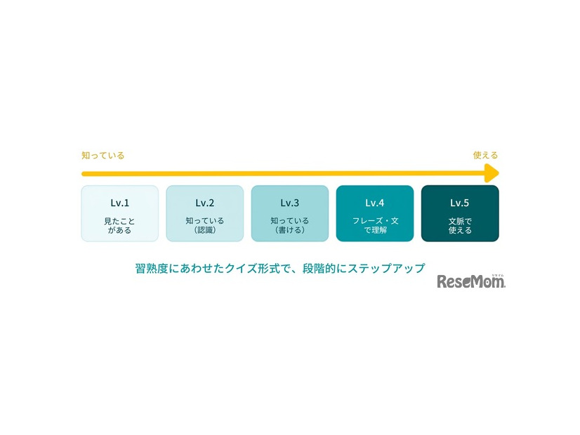 「覚える」から「使える」へ、段階的にステップアップ