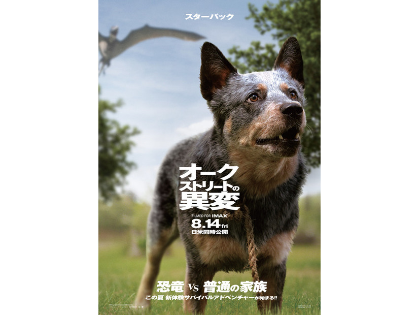 『オークストリートの異変』(C)2025 Warner Bros. Ent. All Rights Reserved