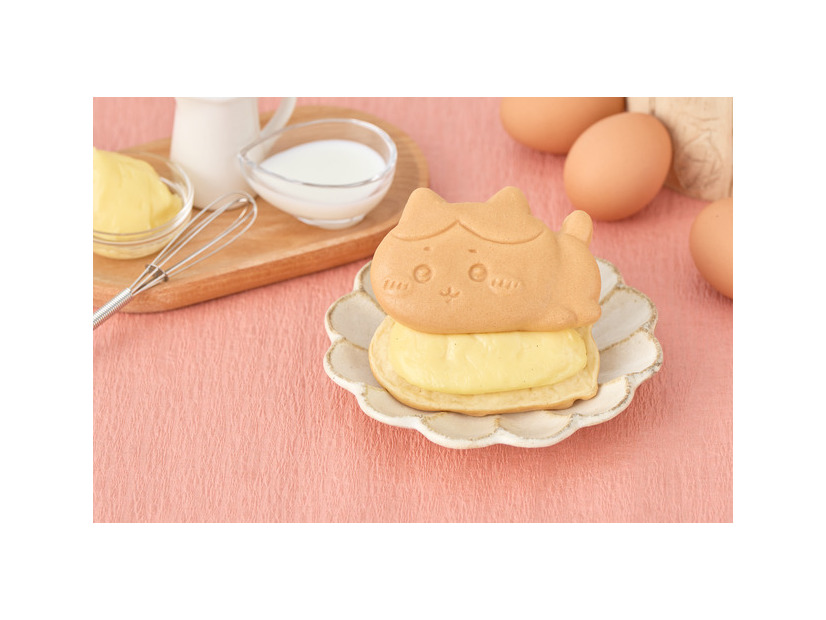 ハチワレ（クリーム）　
