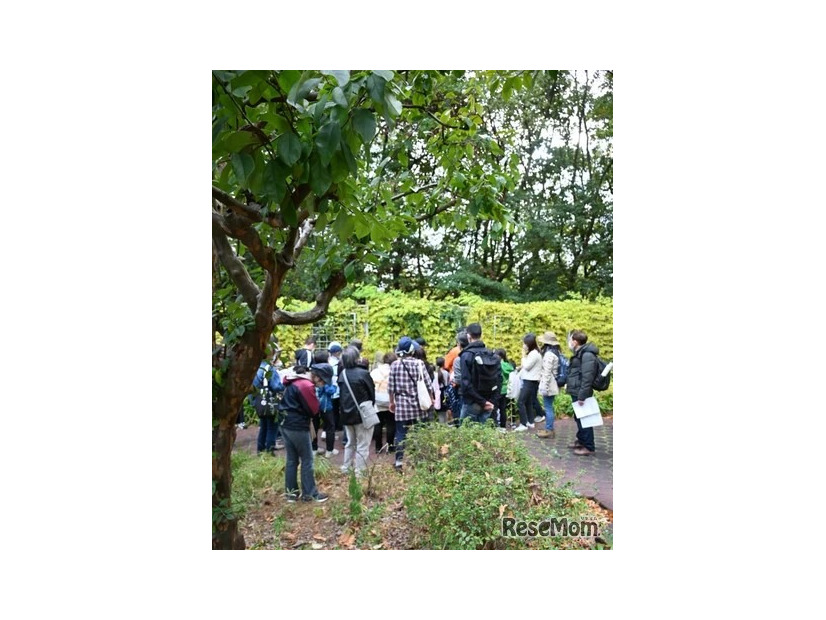 過去のイベントのようす