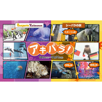 ハロウィンや秋イベント「アキパラ」八景島シーパラ10月