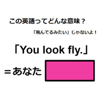 この英語ってどんな意味？「You look fly.」