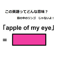 この英語ってどんな意味？「apple of my eye」