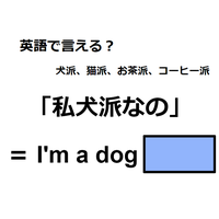 英語で「私犬派なの」はなんて言う？