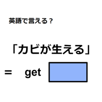 英語で「カビが生える」はなんて言う？