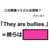 この英語ってどんな意味？「They are bullies. 」