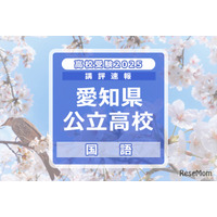 【高校受験2025】愛知県公立高校入試＜国語＞講評…昨年より易化