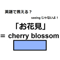 英語で「お花見」はなんて言う？