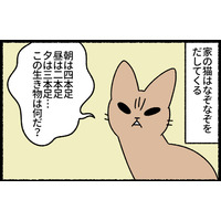 「朝は四本足、昼は二本足…」なぞなぞを出してくる猫。しつこすぎて無視したら？【ねこもんすたー ニャーオ! ＃８】