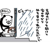 雨風強い日に愛犬。濡らさないように、そっと包み込むのはナゼ？【パンダと犬 ＃26】