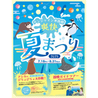 【夏休み2025】サンシャイン水族館「爽快夏まつり」猛暑日は水量増
