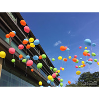 2025年紅白歌合戦、出場歌手＜白組＞出身校を一挙公開