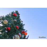 【中学受験】今週末行ける首都圏中高一貫「学校見学」12/20-21…本郷・成城学園など10校