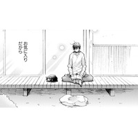 【猫視点】この場所は、いいおひるね場所もあるしごはんもくれるし、わりとお気に入りなんだからね【同居人はひざ、時々、頭のうえ。 #33】