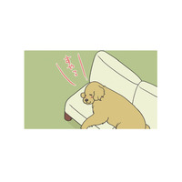 ソファを占領して眠る愛犬…大好きな洗濯物の匂いを確かめてまた夢の中へ？【おさんぽですし！　おしゃべり犬とイライラ猫の日記 #４】