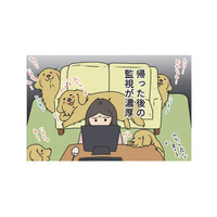 家に戻ると視線が集中、愛犬からの‟監視”包囲網。少し留守番させただけなのに…【おさんぽですし！　おしゃべり犬とイライラ猫の日記 #８】