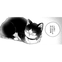 【猫視点】ぐったりしてると犬が話しかけてきた。あの子が私の事を心配してる？家族って何？【同居人はひざ、時々、頭のうえ。 #71】