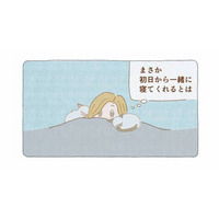 「いてくれるだけでいい」迷い猫たちと一緒に眠った夜から、家族がはじまった【夜が明けるとき猫がそばにいれば #８】